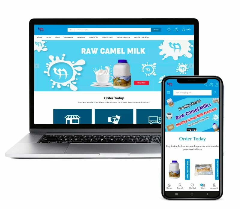 eCommerce Solutions Portfolio UK Camel